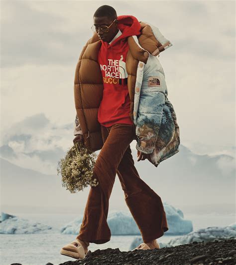 gucci north face billboard|gucci north face retro.